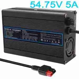 chargeur de batterie LiFePO4